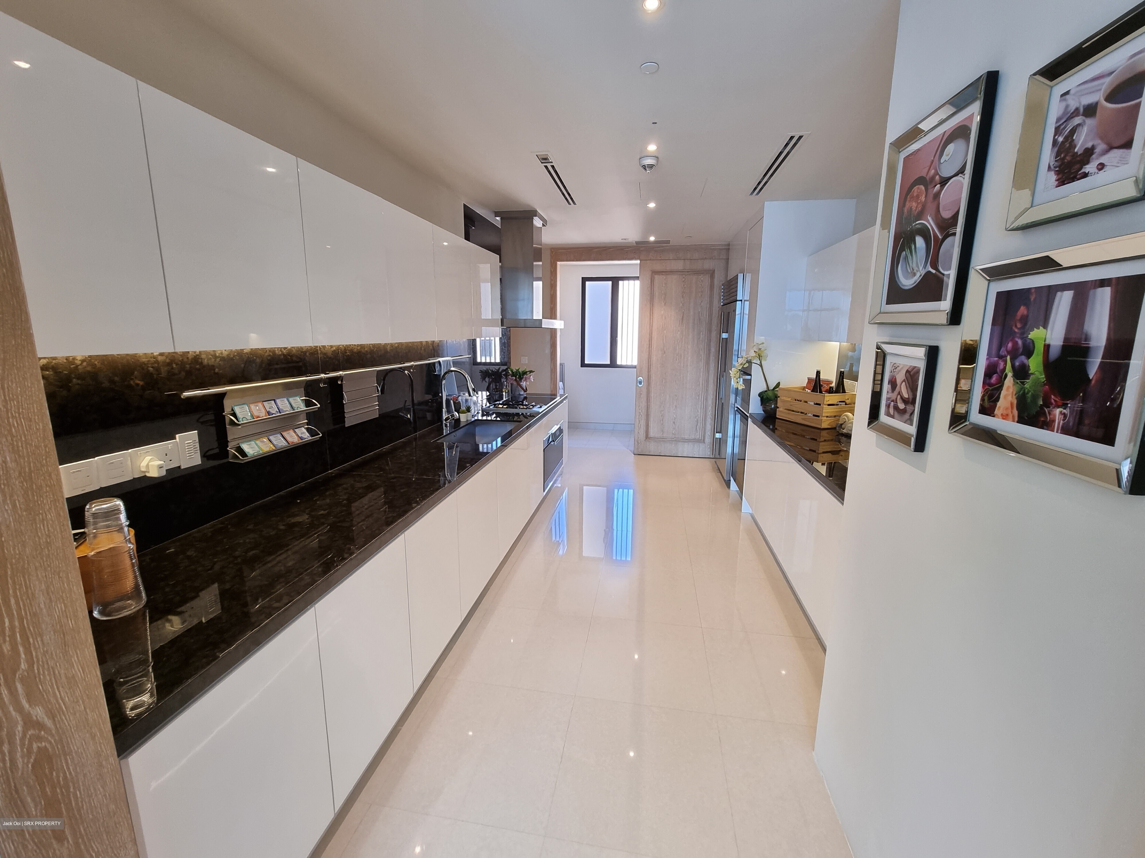The Ritz-Carlton  (D9), Condominium #342399751